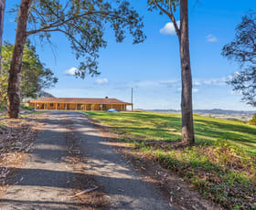 Rural / Farming commercial property sold at 702 TOMEWIN ROAD Tomewin NSW 2484