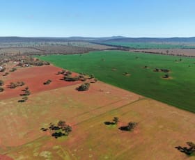 Rural / Farming commercial property sold at 3956 The Springs Road Monia Gap NSW 2675