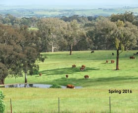 Rural / Farming commercial property sold at 1738 O'Connell Road O'connell NSW 2795