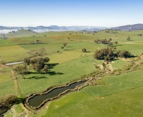 Rural / Farming commercial property sold at 404 Sylvia's Gap Road Tumblong NSW 2729