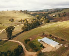 Rural / Farming commercial property sold at 95 Skillogalee Creek Road Watervale SA 5452