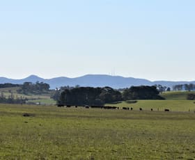 Rural / Farming commercial property sold at 93 Peppermint Lane Tallwood NSW 2798