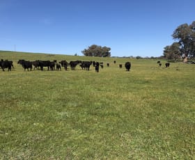 Rural / Farming commercial property sold at 698 Little Billabong Rd Little Billabong NSW 2644