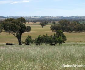 Rural / Farming commercial property sold at 125 Grounds Road Murringo NSW 2586