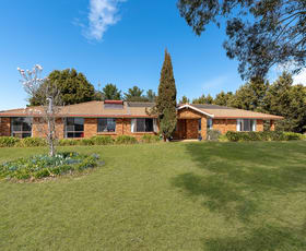 Rural / Farming commercial property sold at 213 East Guyong Road Guyong NSW 2798