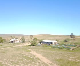 Rural / Farming commercial property sold at 135 Steggles Rd Terowie SA 5421