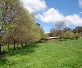 Rural / Farming commercial property sold at 170 Walkers Road Avoca NSW 2577