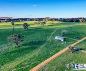 Rural / Farming commercial property sold at 1205 Cooks Hill Road Bango NSW 2582