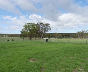 Rural / Farming commercial property sold at 36 Clark Lane Broadwater QLD 4380