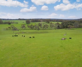 Rural / Farming commercial property sold at 750 Colac-Lavers Hill Road Barongarook West VIC 3249