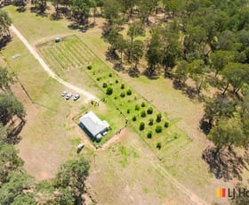 Rural / Farming commercial property sold at 130 Allards Lane Nelligen NSW 2536