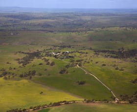Rural / Farming commercial property sold at 231 Talbot Road Rockleigh SA 5254