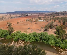 Rural / Farming commercial property sold at Skippy Park 1194 Rushes Creek Road Rushes Creek NSW 2346