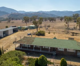 Rural / Farming commercial property sold at 102 Martins Lane Piallamore NSW 2340