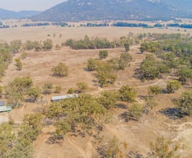 Rural / Farming commercial property sold at 56 Vernons Lane Tamworth NSW 2340