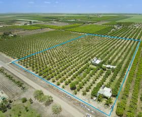 Rural / Farming commercial property sold at 63 Mango Avenue Horseshoe Lagoon QLD 4809
