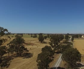 Rural / Farming commercial property sold at 2019 Katandra Main Road Yabba North VIC 3646