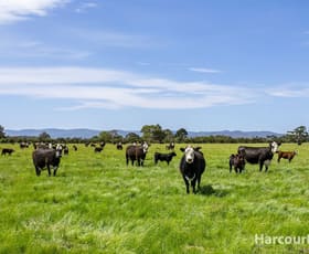 Rural / Farming commercial property sold at Lot 2 205 Knights Road Longwarry VIC 3816