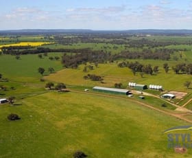 Rural / Farming commercial property for sale at Warroo NSW 2871