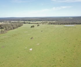 Rural / Farming commercial property sold at 253 Barnes Road Scotsdale WA 6333