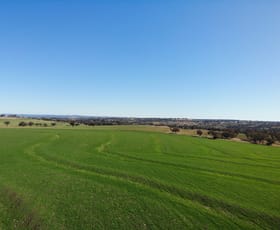 Rural / Farming commercial property sold at Leaders Lane Delungra NSW 2403