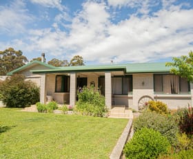 Rural / Farming commercial property sold at 176 Kerrisons Road Holwell TAS 7275