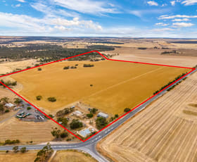 Rural / Farming commercial property sold at 221 Chaunceys Line Rd Hartley SA 5255