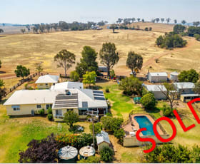 Rural / Farming commercial property sold at "MEEMAR" 1196 Stockinbingal Rd Cootamundra NSW 2590