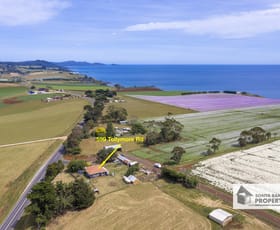 Rural / Farming commercial property sold at 599 Tollymore Road Table Cape TAS 7325