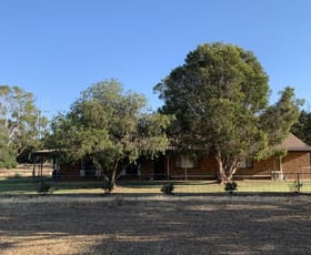Rural / Farming commercial property for sale at 6176 Wakool Road Wakool NSW 2710