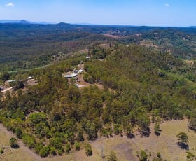 Rural / Farming commercial property sold at 175 Paddy Melon Lane Belli Park QLD 4562