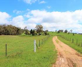 Rural / Farming commercial property sold at 2878 Great Western Highway Meadow Flat NSW 2795