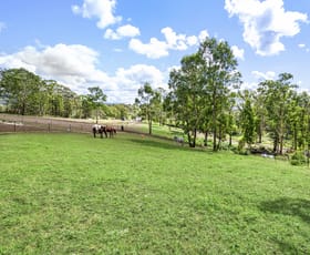 Rural / Farming commercial property leased at 139 Cabbage Tree Road Grose Vale NSW 2753