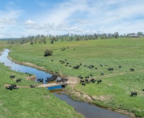 Rural / Farming commercial property sold at 14290 Thunderbolts Way Walcha NSW 2354