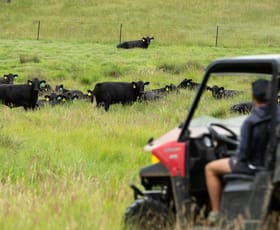Rural / Farming commercial property sold at 633 Black Mountain Road Guyra NSW 2365