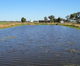 Rural / Farming commercial property sold at 113 Tocumwal Road Deniliquin NSW 2710