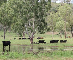 Rural / Farming commercial property sold at OAKEY CREEK ROAD Oakey Creek QLD 4714