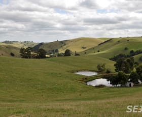Rural / Farming commercial property sold at 135 Waterfall Road Poowong East VIC 3988