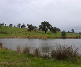 Rural / Farming commercial property sold at 235 The Bridle Track Glenaroua VIC 3764