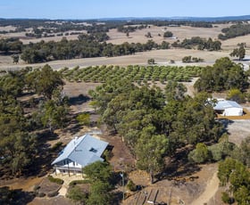 Rural / Farming commercial property sold at 869 Julimar Road Toodyay WA 6566