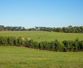 Rural / Farming commercial property sold at 5214 Great Ocean Road Allansford VIC 3277
