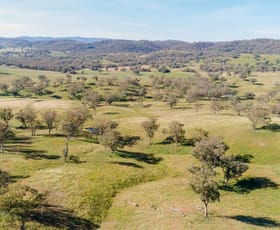 Rural / Farming commercial property sold at 'Warrenella' Yarramanbully Road Tamworth NSW 2340