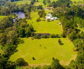 Rural / Farming commercial property sold at 95 Velvet Downs Road Springbrook QLD 4213