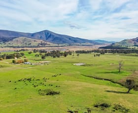 Rural / Farming commercial property sold at 2445 Wymah Road Wymah NSW 2640
