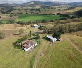 Rural / Farming commercial property sold at Lot 1 Paterson River Road Gresford NSW 2311