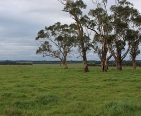 Rural / Farming commercial property sold at 280 Crabbes Road Irrewillipe VIC 3249