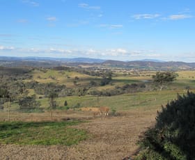Rural / Farming commercial property sold at 267 Upper Piambong Road Piambong NSW 2850