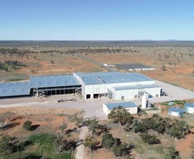 Rural / Farming commercial property sold at Bourke NSW 2840