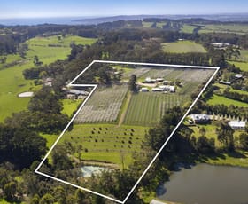 Rural / Farming commercial property sold at 61-69 Prossors Lane Red Hill VIC 3937
