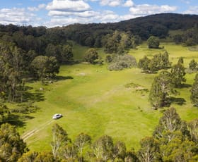 Rural / Farming commercial property for sale at 733 Hereford Hall Road Hereford Hall NSW 2622